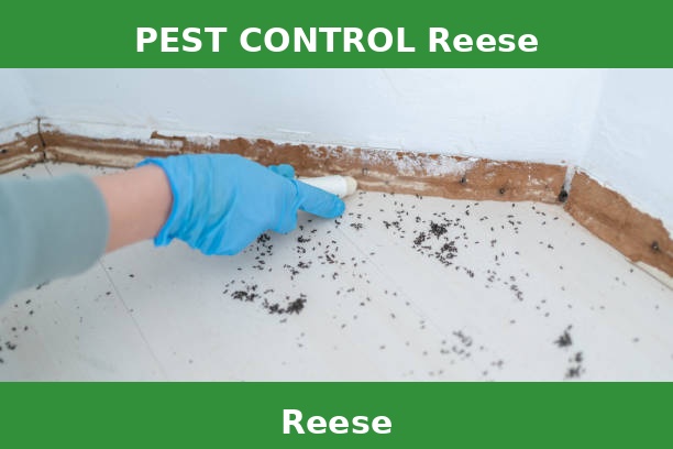 PEST CONTROL Reese